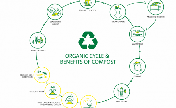 The organic cycle & benefits of compost.png